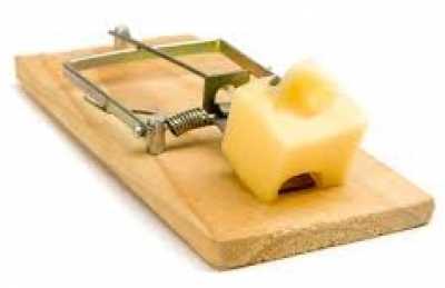 אין הכרויות בחינם, גבינה צהובה בחינם יש רק במלכודת עכברים