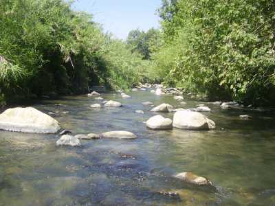 צפון של הפתעות