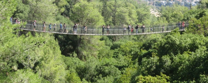  טיול גשרים תלויים ועוד